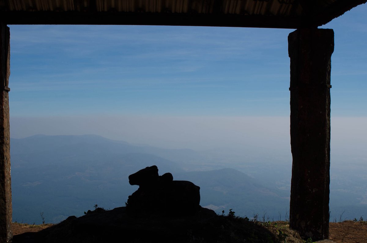 The grass slopes of Mullayanagiri, the highest peak in Karnataka