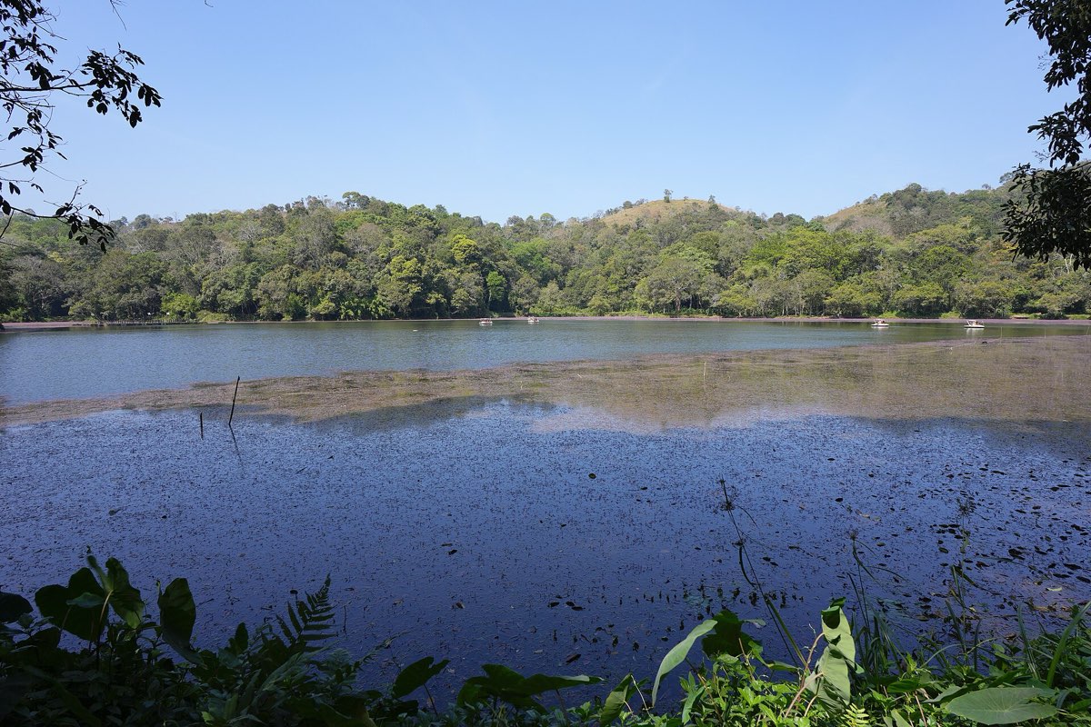Forest-ringed Pookode Lake, Wayanad