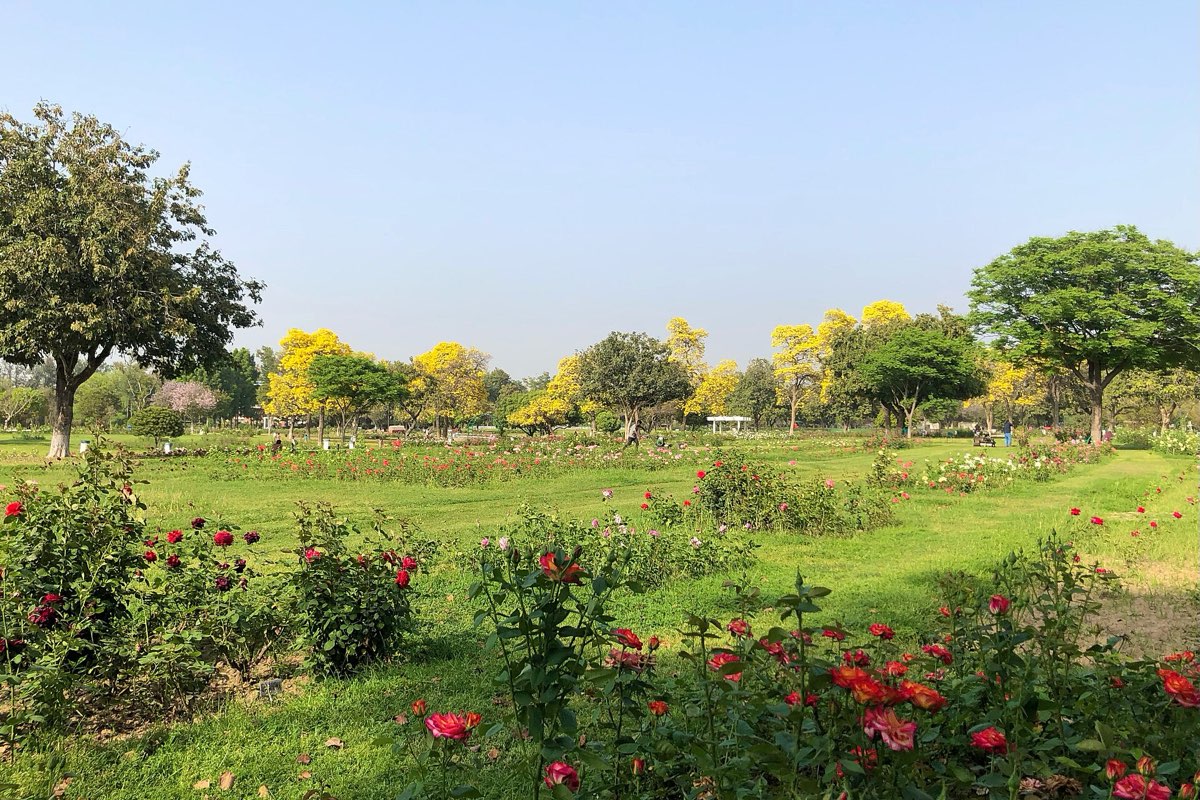 Lawns and beds of the Zakir Hussain Rose Garden, Chandigarh