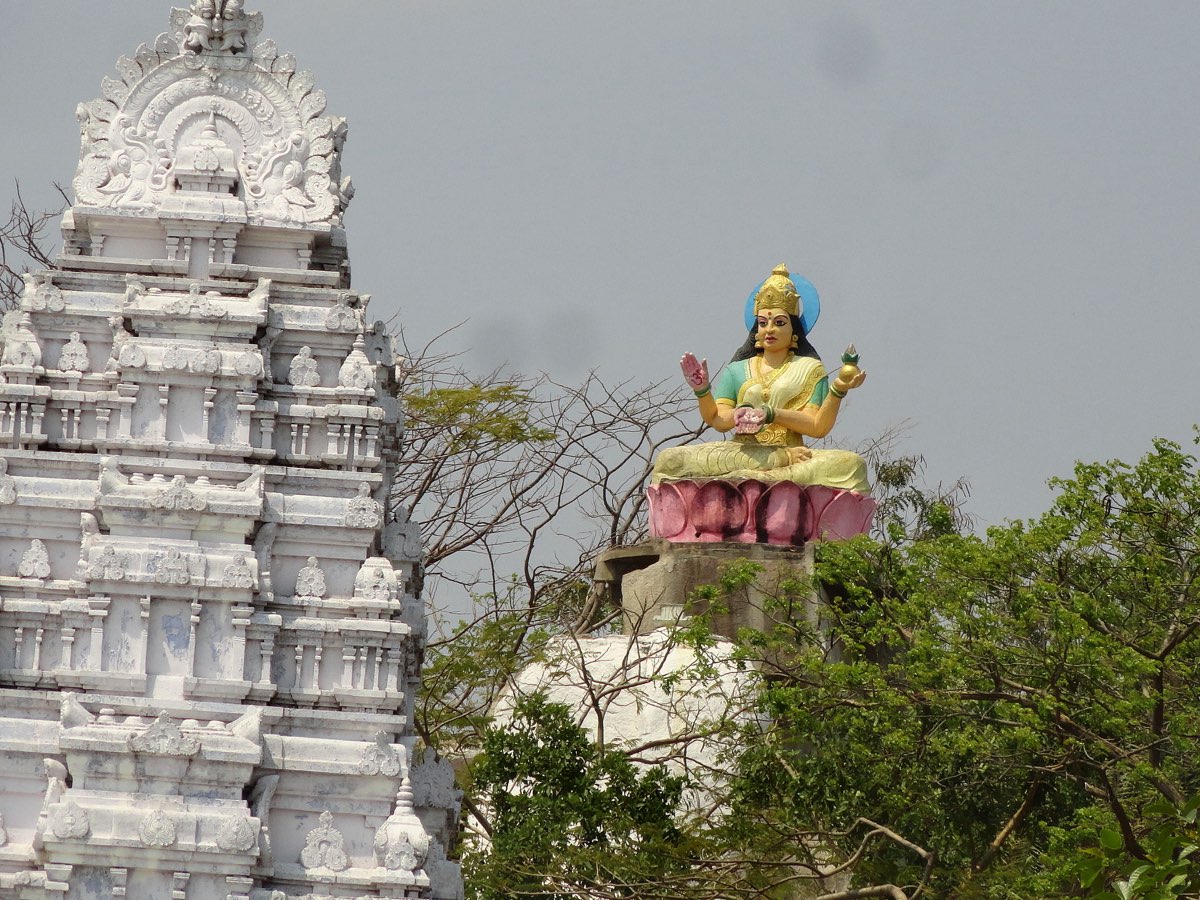 Gopuram and Saraswati statue at the Gnana Saraswati temple, Basara